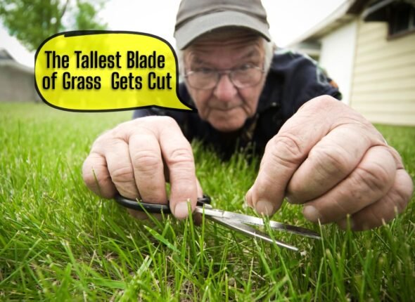 Man carefully cutting individual blades of grass with scissors, text bubble "The Tallest Blade of Grass Gets Cut".