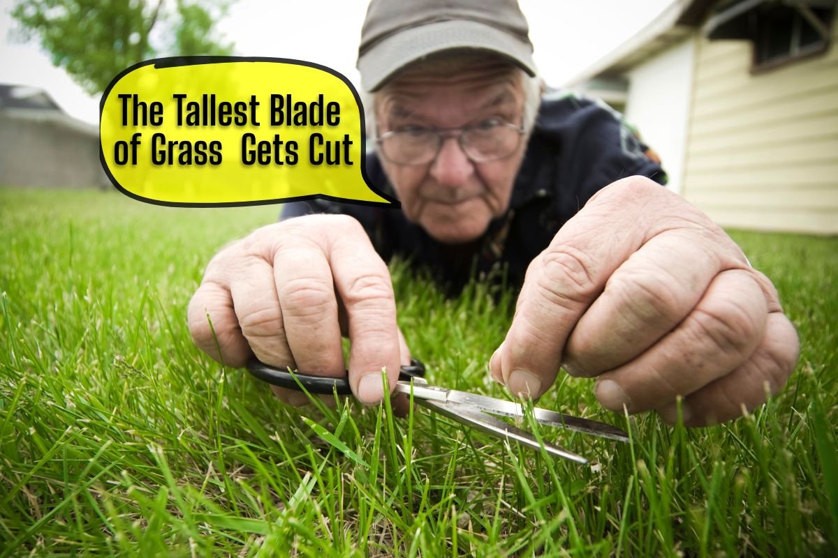 Man carefully cutting individual blades of grass with scissors, text bubble "The Tallest Blade of Grass Gets Cut".
