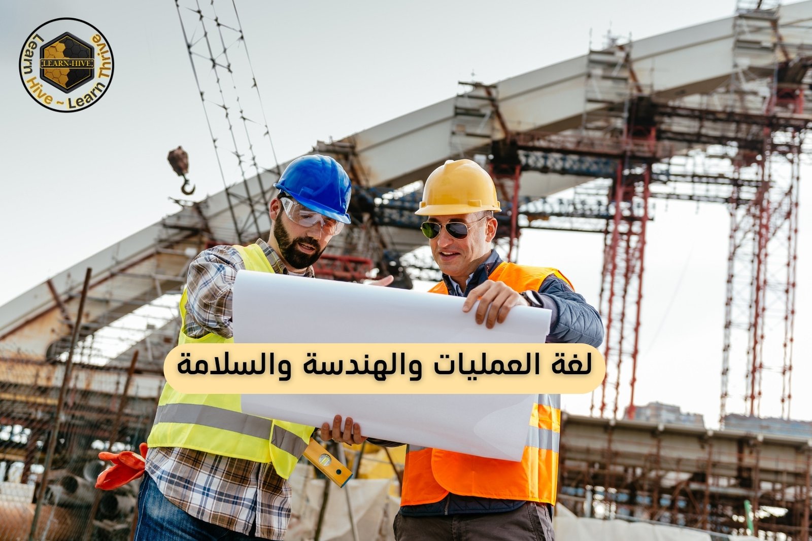 التواصل المتخصص