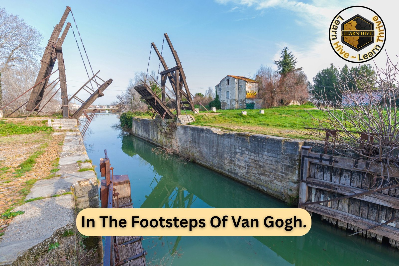 The Emotional Depth of Van Gogh